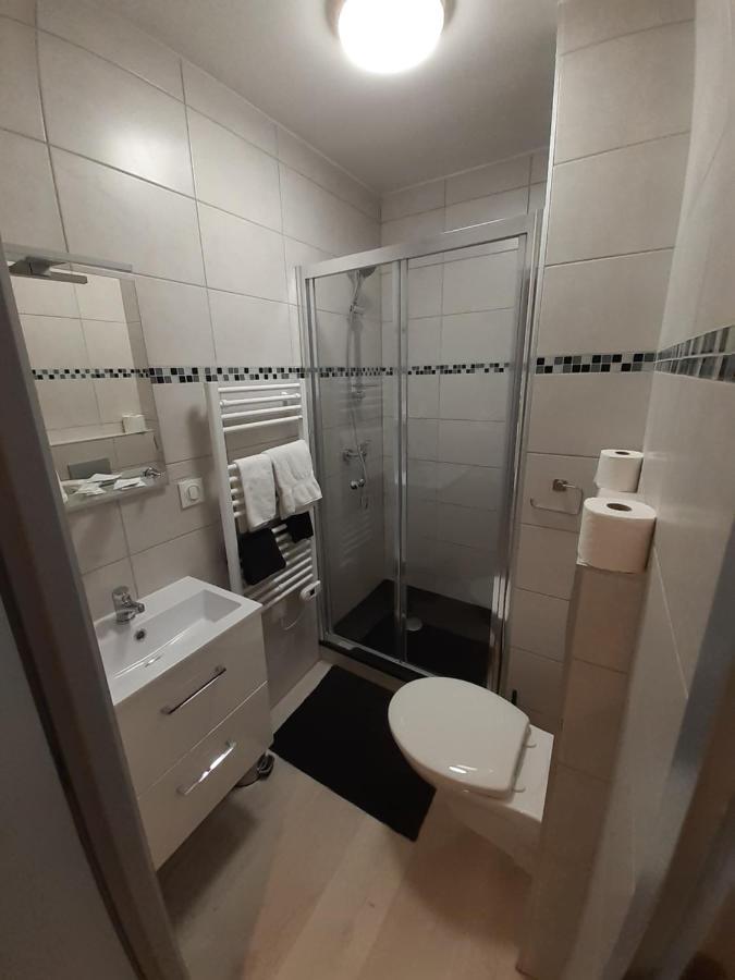 Les Appartements Du Saint Hubert Arcis-sur-Aube 外观 照片