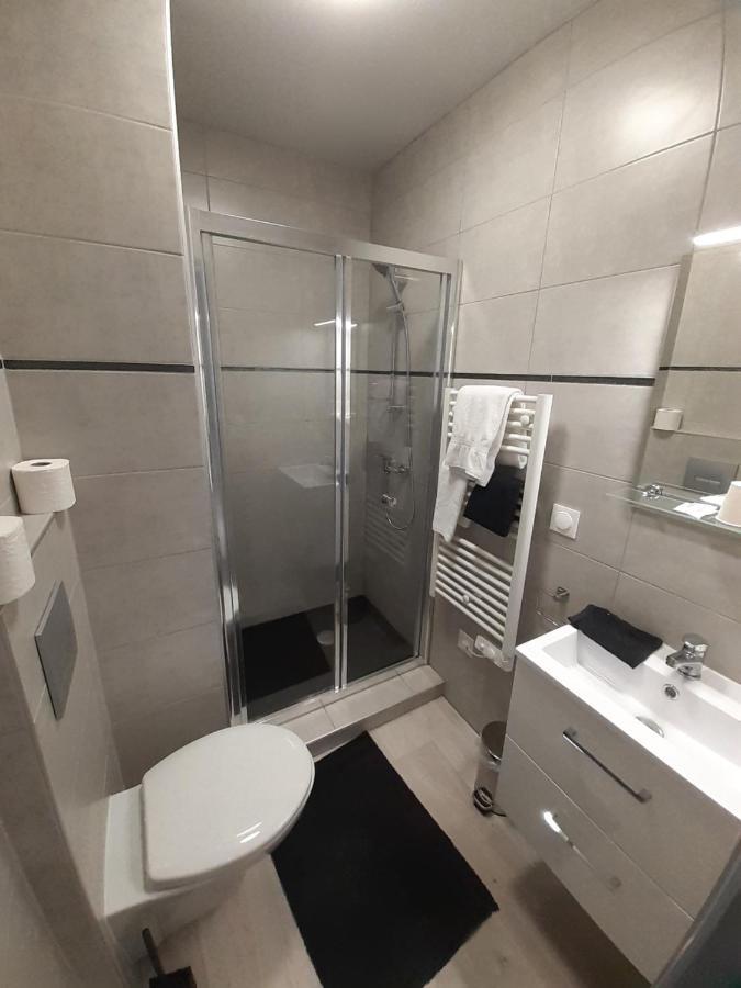 Les Appartements Du Saint Hubert Arcis-sur-Aube 外观 照片